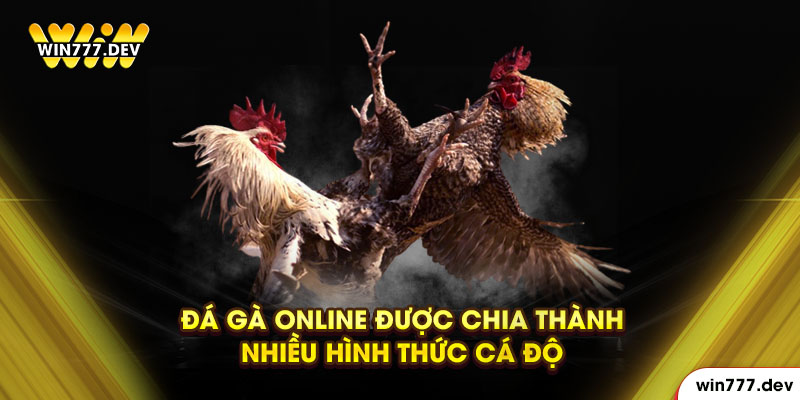 Đá gà online được chia thành nhiều hình thức cá độ